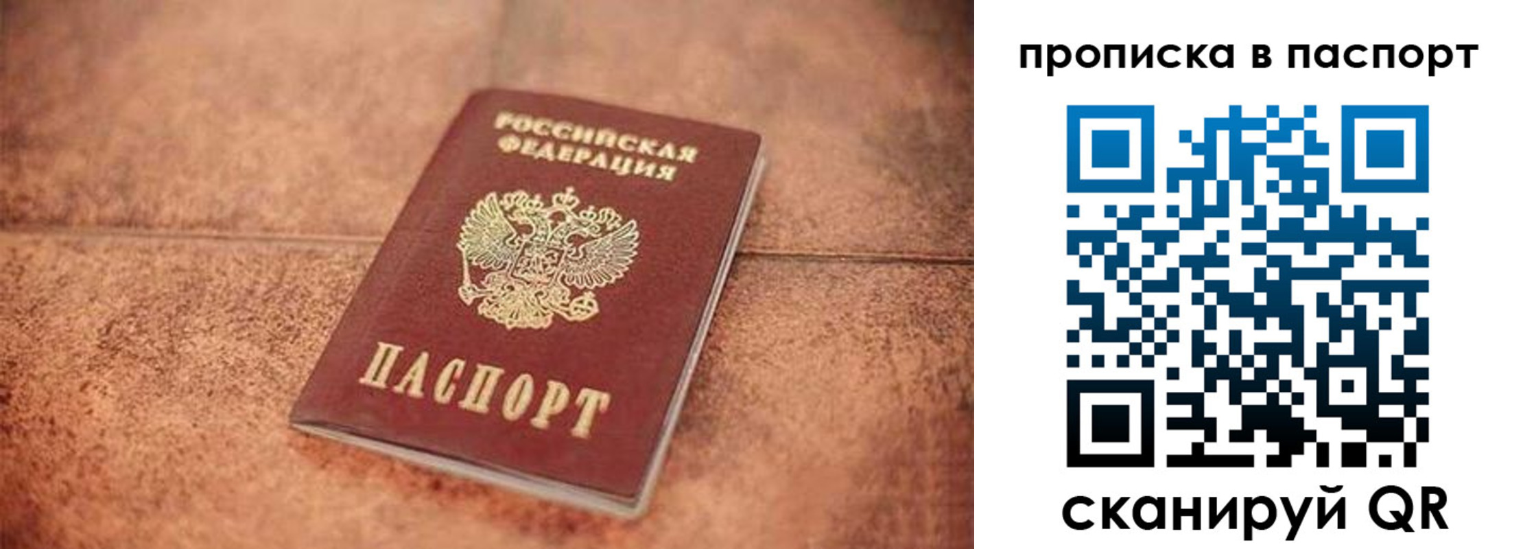 прописка для работы в Лосино-Петровском